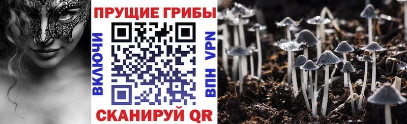 Галлюциногенные грибы GOLDEN TEACHER  где продают   ссылка на мегу маркетплейс  Ефремов 